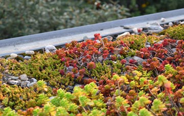 the cost of Woolavington green roof installation