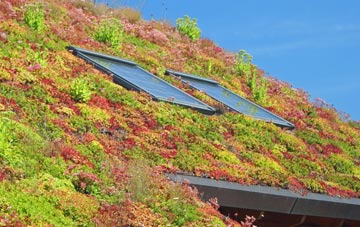 Woolavington living roof systems